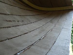 P1050735.JPG
